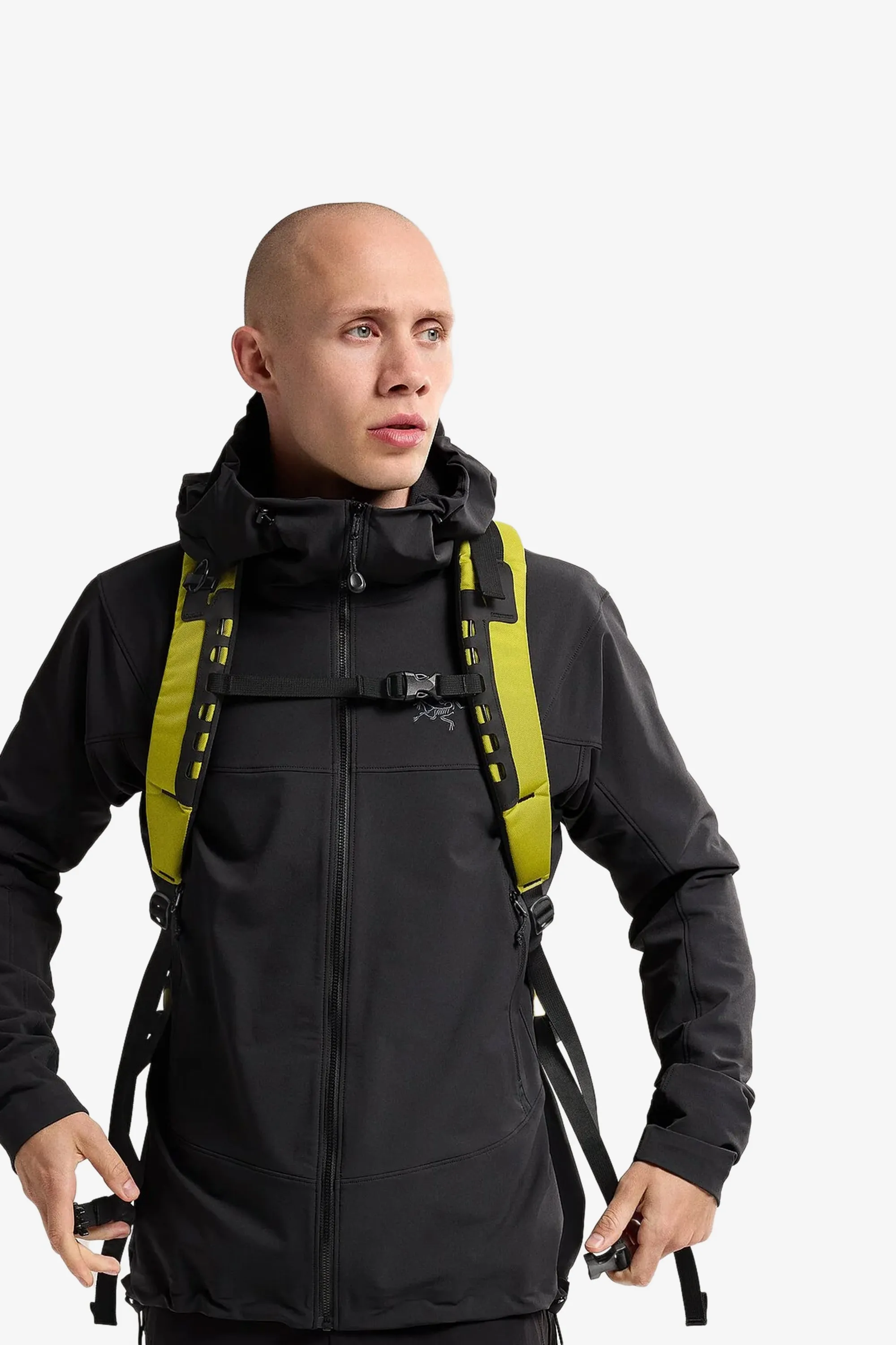 Arc'teryx Arro 22 Backpack in Lampyre