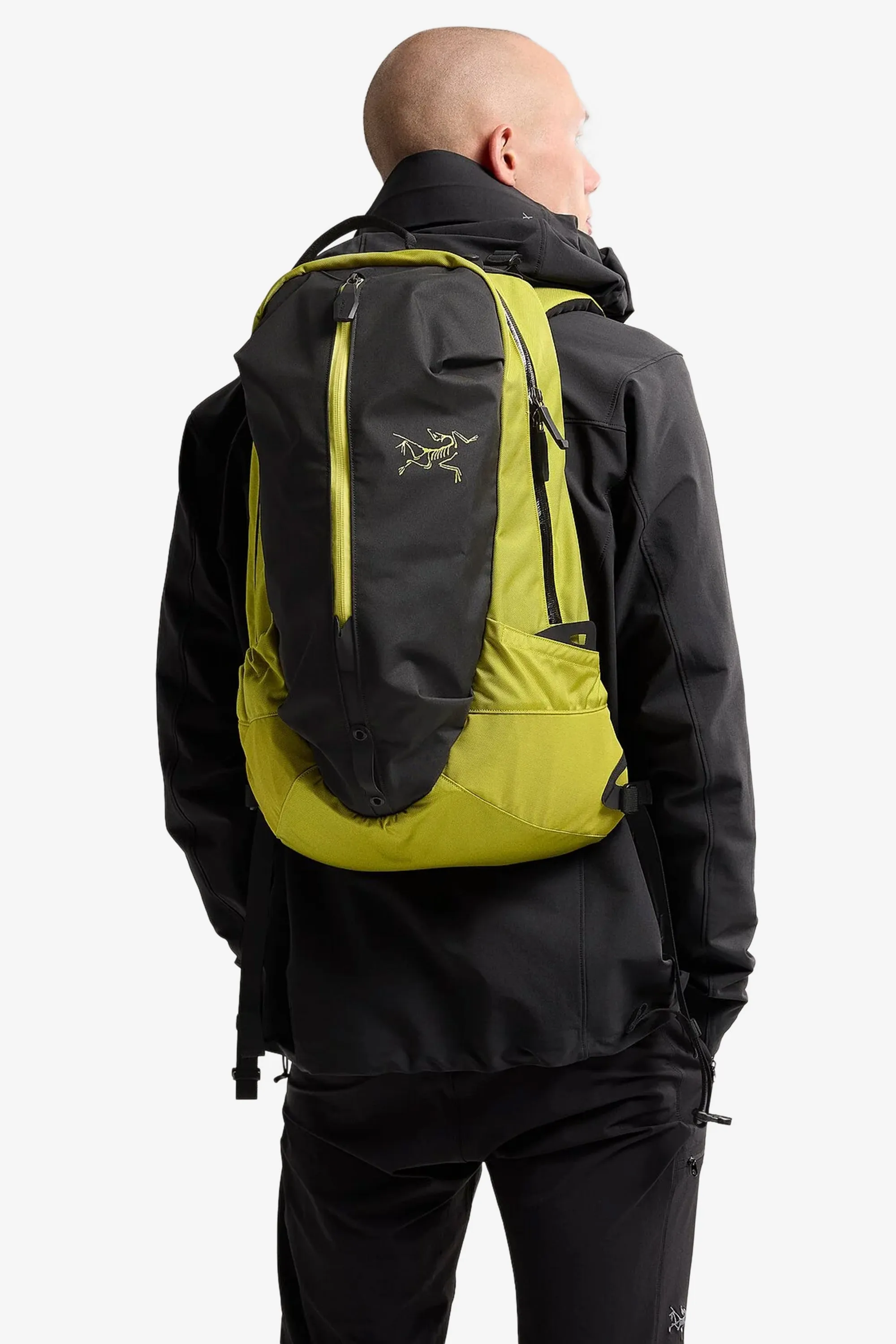 Arc'teryx Arro 22 Backpack in Lampyre