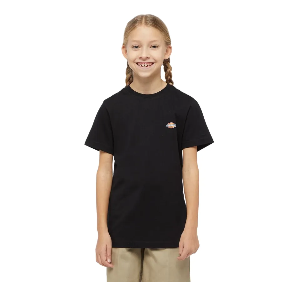 Dickies boys short sleeve t-shirt Mapleton DK0KSR64KBK black