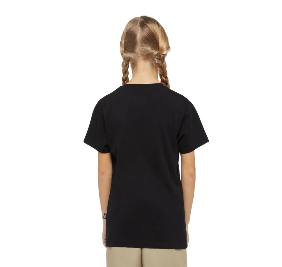 Dickies boys short sleeve t-shirt Mapleton DK0KSR64KBK black