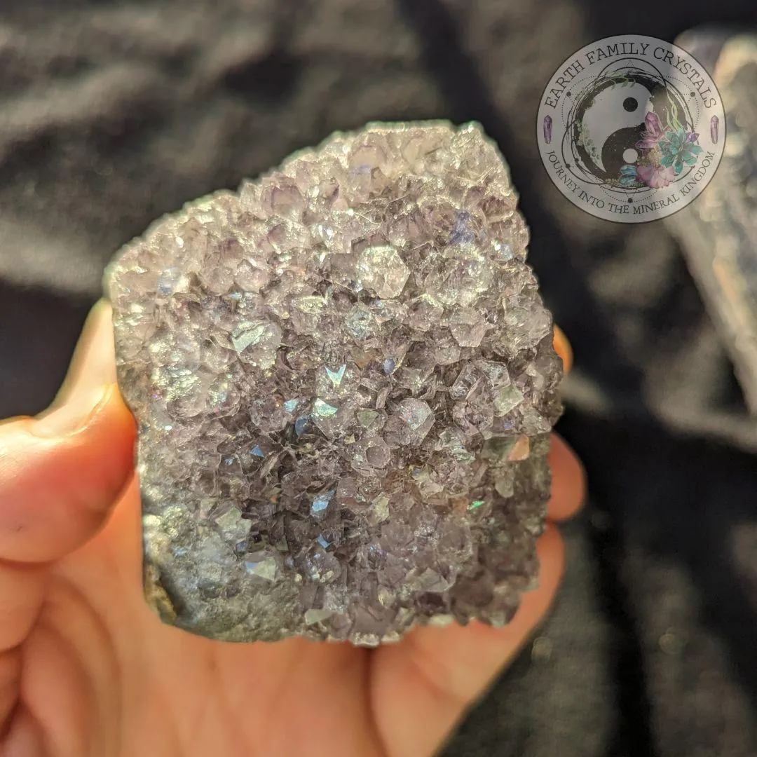 Uruguay Amethyst Geode - Small but Mighty